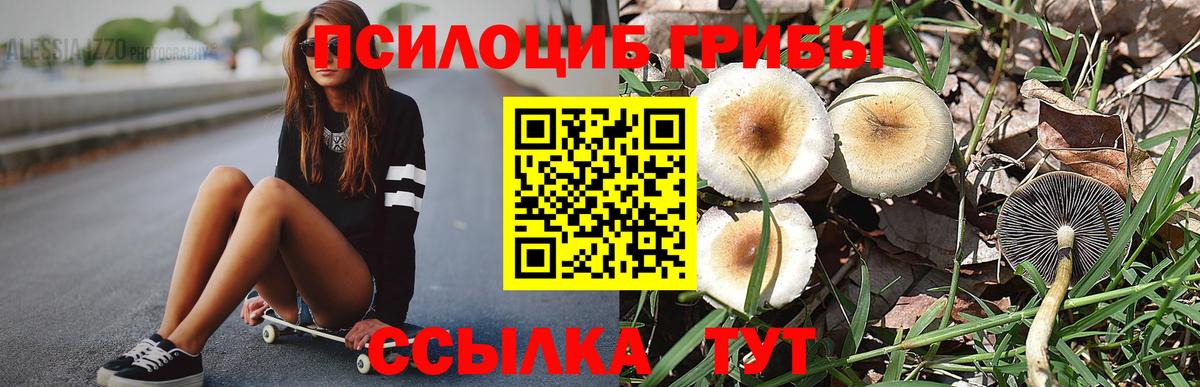 Псилоцибиновые грибы ЛСД Борзя