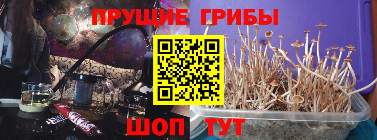 Галлюциногенные грибы ЛСД  Вход с VPN  Борзя  Псилоцибиновые грибы Psilocybine cubensis 