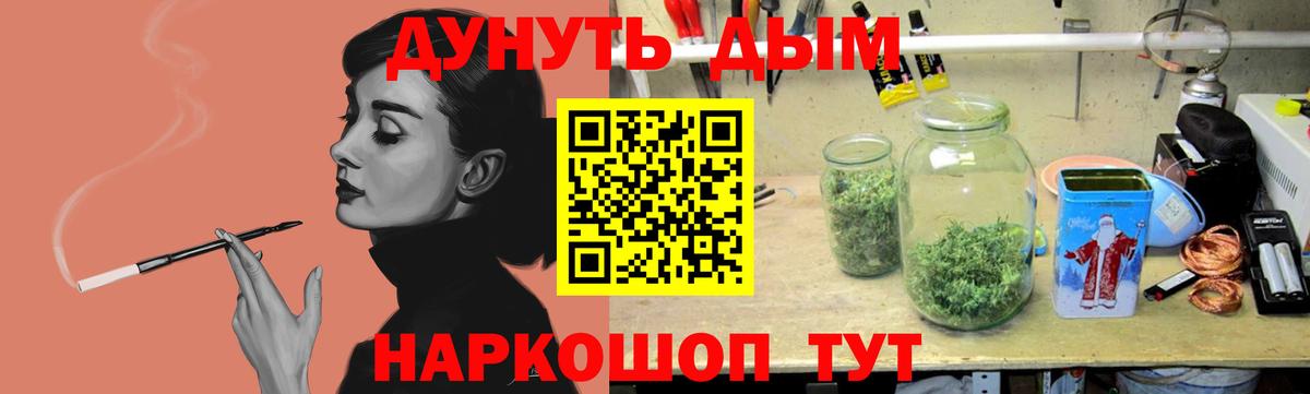 Бошки Шишки семена Борзя